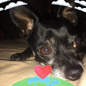 Meet your Posher, Jack